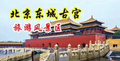 黑丝美女校花被干高潮了的视频中国北京-东城古宫旅游风景区